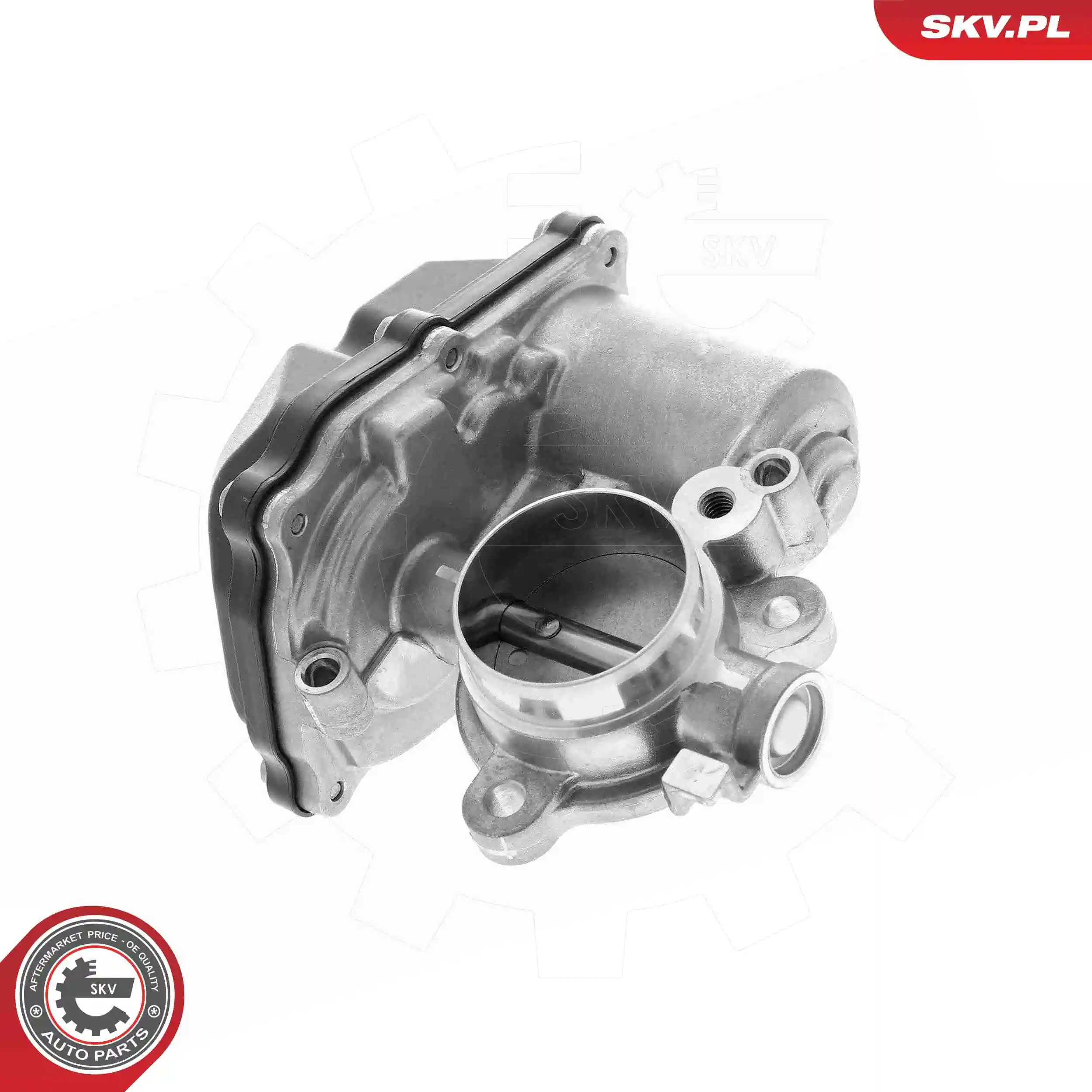 EGR Valve